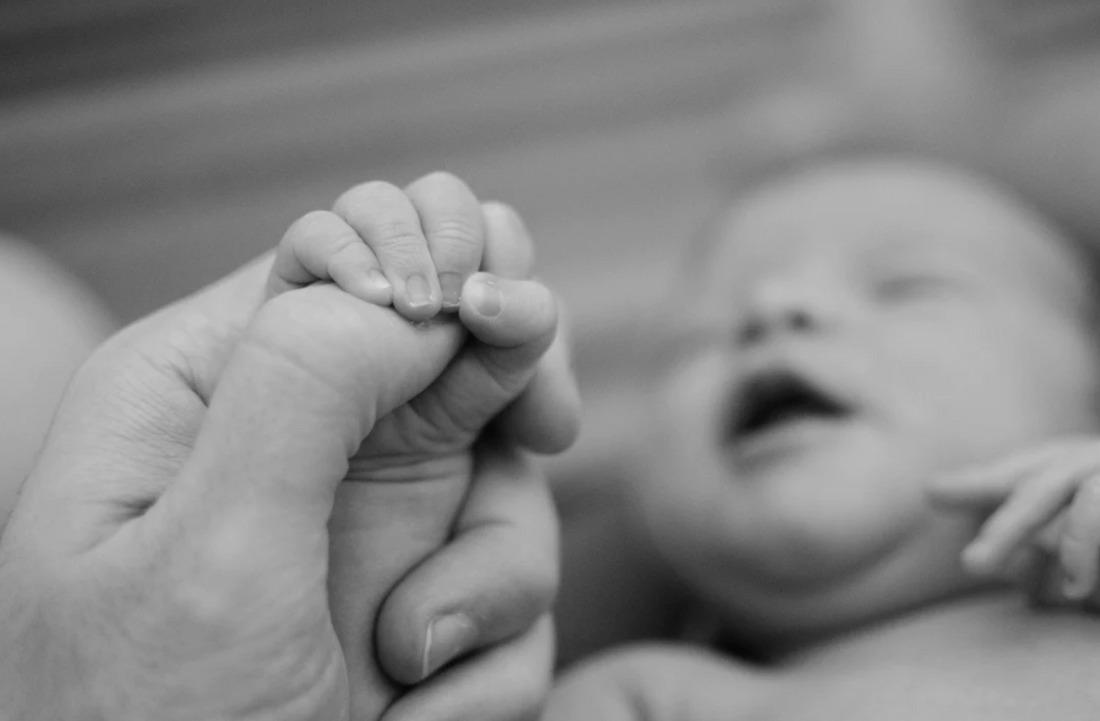 Incorporating Natural Ingredients in Baby Care and Baby Foods