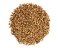 Buckwheat