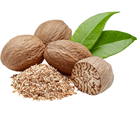 Nutmeg